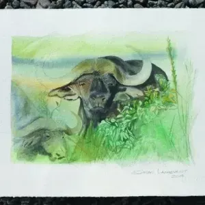 Susan Langeveldt — 2. Susan Langeveldt