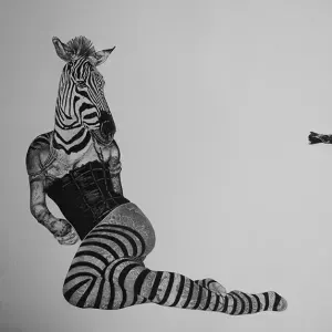 Bevan de Wet — Two Zebras passing in the Night