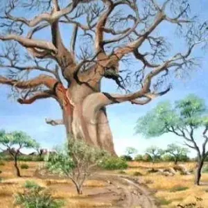 Susan Huxham — Boababtree