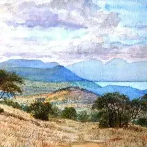 Andre Keyser — Bosveld at Hartebeespoort Dam