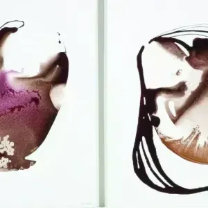 Bron Stofberg — Shell Movement