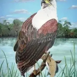 Susan Huxham — Fisheagle