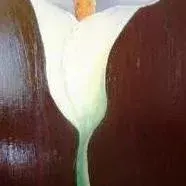 Susan Huxham — Lily 1